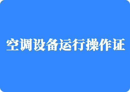 不要插小骚逼了视频制冷工证